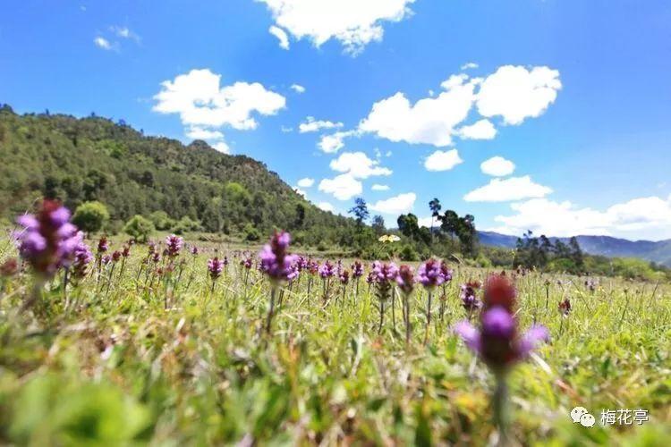 冷知识分享平台-大学生怎样丰富课余生活?,让你聪明一点